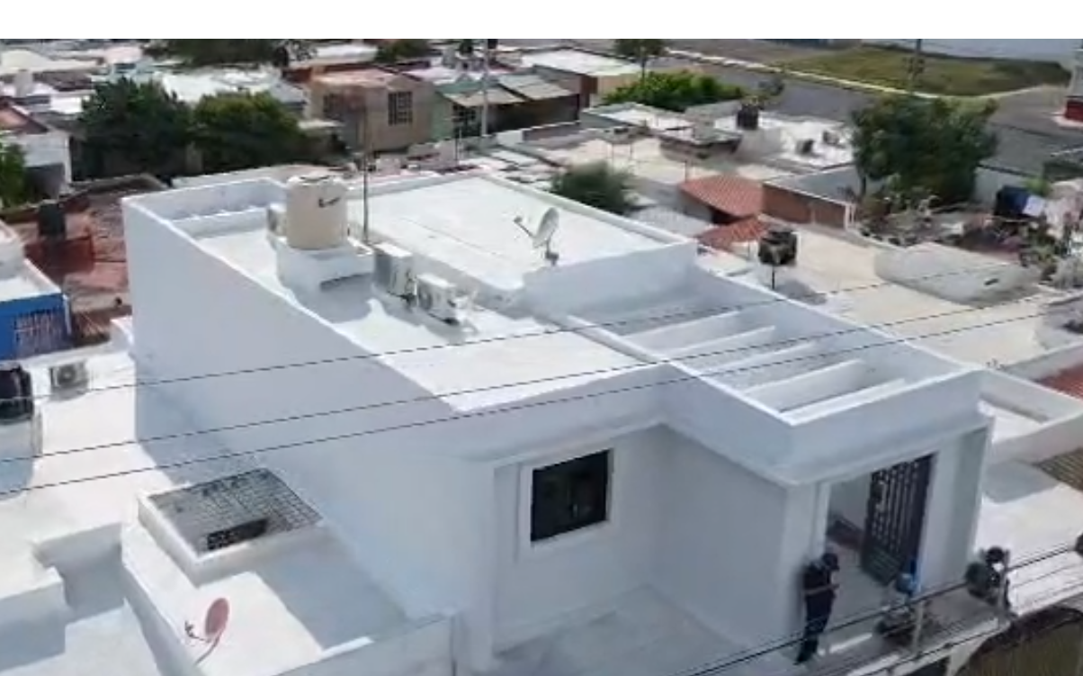 Proyecto 